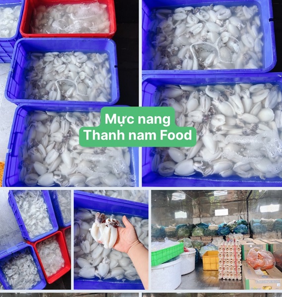 Mực nang - Thực Phẩm Thành Nam - Công Ty Cổ Phần Nông Sản Thực Phẩm Thành Nam